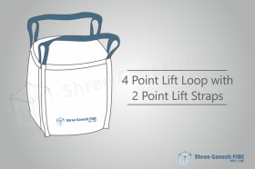 2 Point Lift Straps with 4 Point Loops 